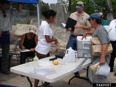 2011 Everglades CISMA Non-native Fish Roundup,    - 5440087
