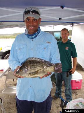 2011 Everglades CISMA Non-native Fish Roundup,    - 5440099