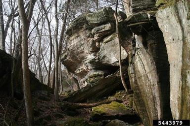 cliff/bluff,    (Mountains: Miscellaneous Mountains) - 5443979
