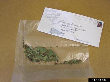 diagnostic lab sample,    - 5458106