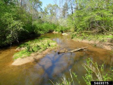 rivers and streams,    (Freshwater biomes: Miscellaneous Rivers and Streams) - 5469575