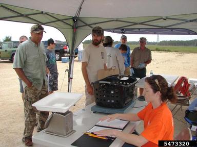 2012 Everglades CISMA Non-native Fish Roundup,    - 5473320