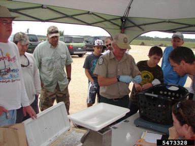 2012 Everglades CISMA Non-native Fish Roundup,    - 5473328