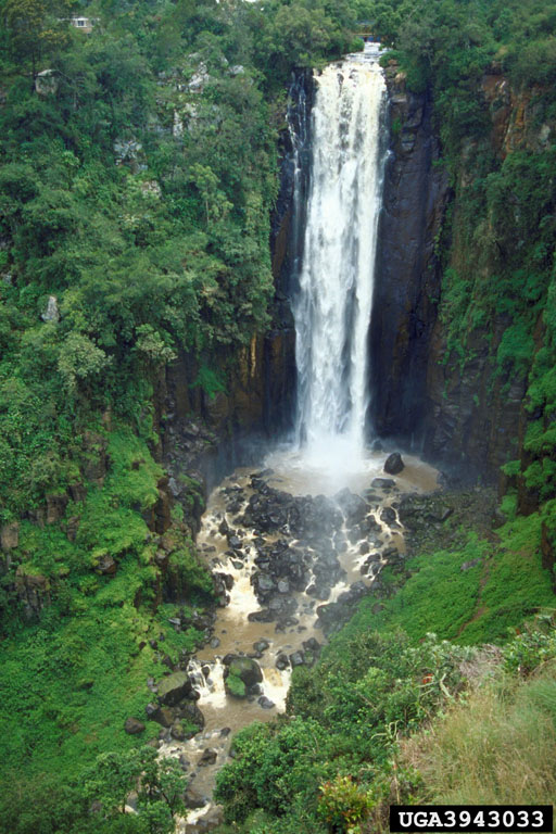 waterfalls, (Freshwater biomes Miscellaneous Waterfalls) 3943033