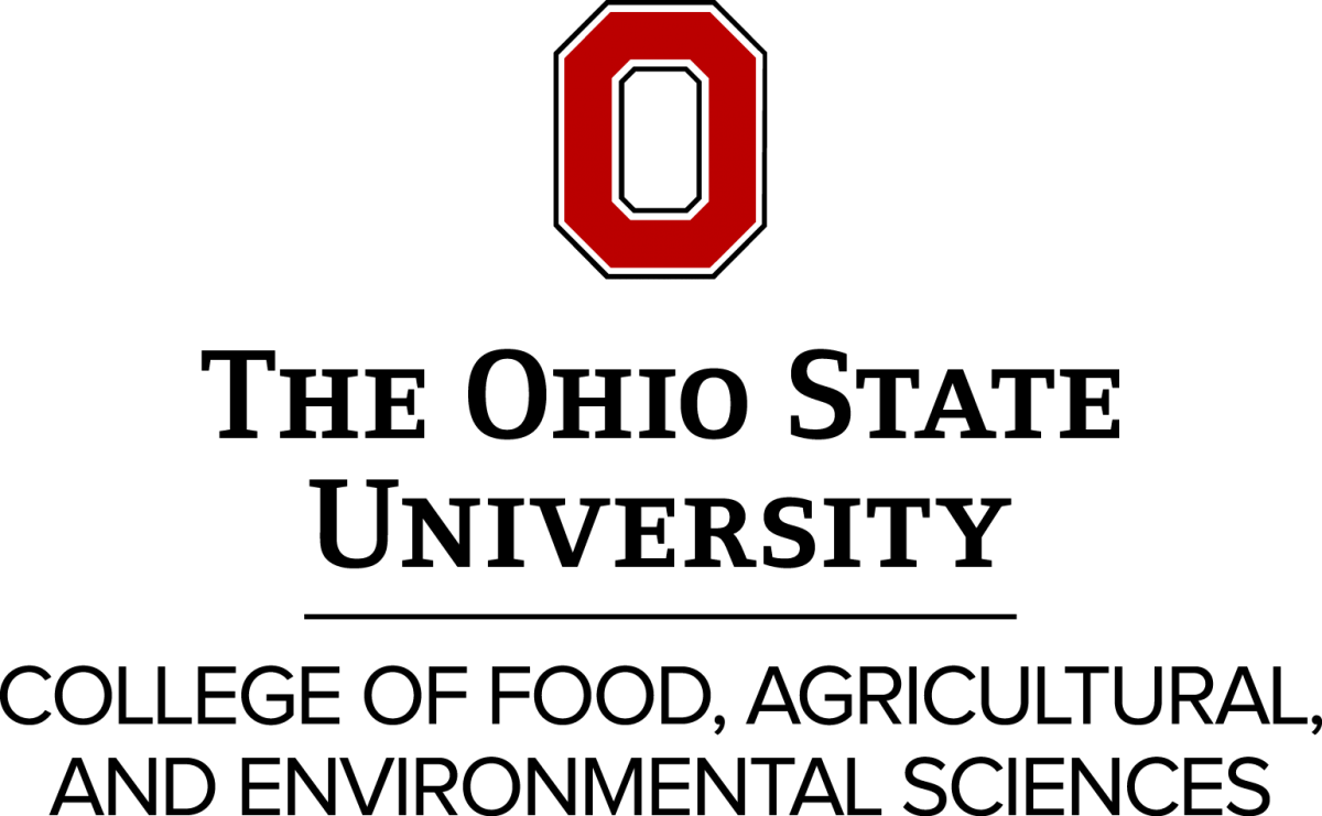 ohio state university