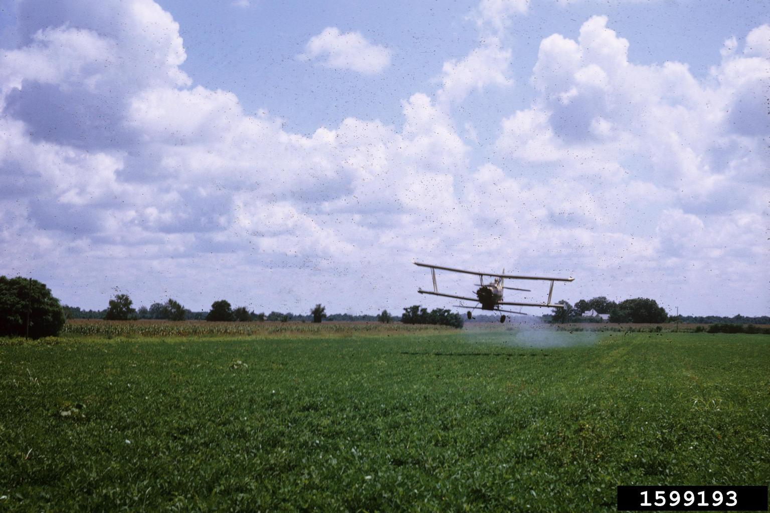 Pesticides on peanut (Arachis hypogaea ) 1599193