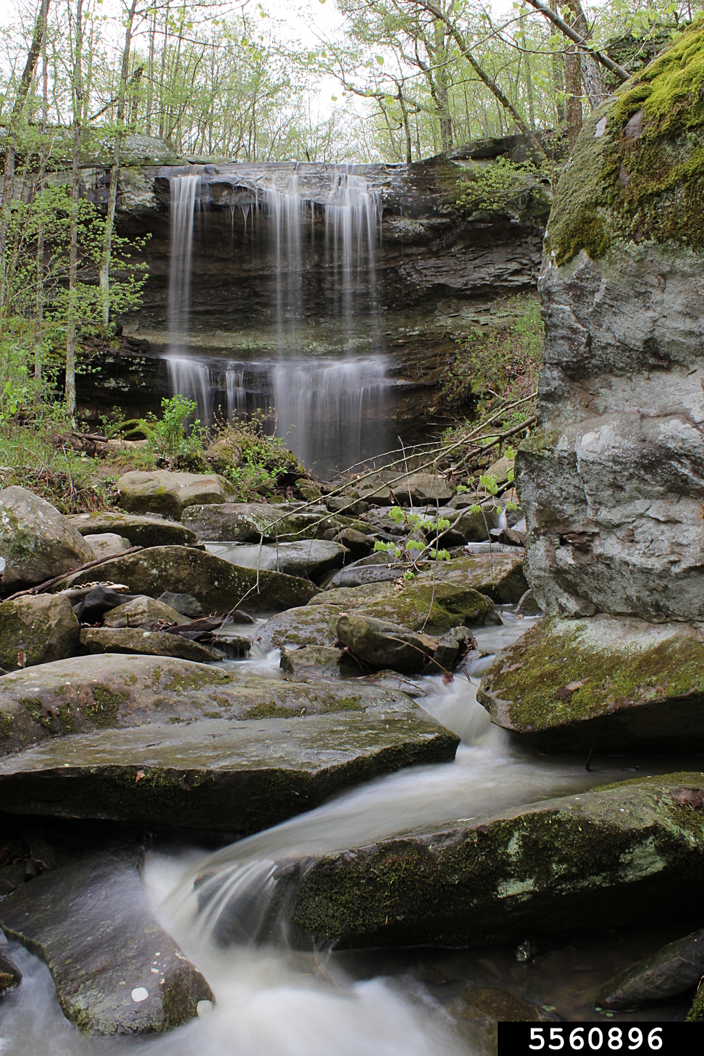 waterfalls, (Freshwater biomes Miscellaneous Waterfalls) 5560896