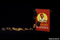 lone star tick (<em>Amblyomma americanum</em>) adult(s)