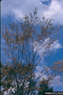 5021029