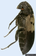 Collection information:  New York: Ontario Co,m Geneva; 14-Jun-94