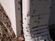 Swarming a house