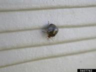 On the side of a house