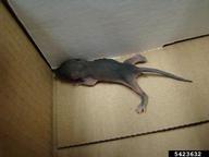 newborn discovered abandoned