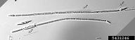 toxic cyanobacteria (<em>Cylindrospermopsis raciborskii</em>) sign on (<em> </em>)