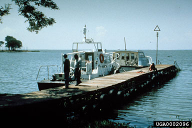 Figure 27B. Kisumu Yacht Club, Kenya, 16 December 1999 (Photo courtesy of M.H. Julien).