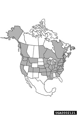 Figure 2. Current distribution of Fallopia japonica in North America. (L. Seiger.)