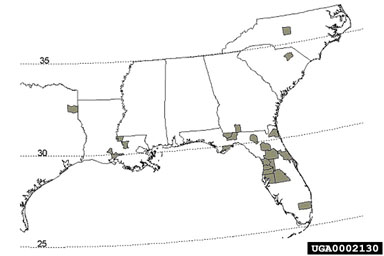 Figure 3. Known distribution of skunk vine by county in the eastern United States.