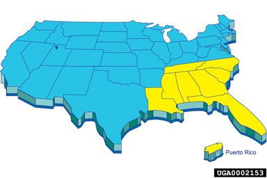 Figure 4. Distribution of tropical soda apple, Solanum viarum Dunal, in the United States.  Infested region indicated in yellow. (Data from Westbrooks, 1998.)