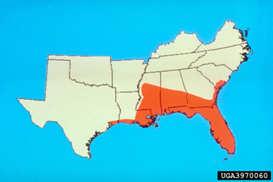 Figure 4. The general distribution of Imperata cylindrica in the Untied States, depicted by area in red.