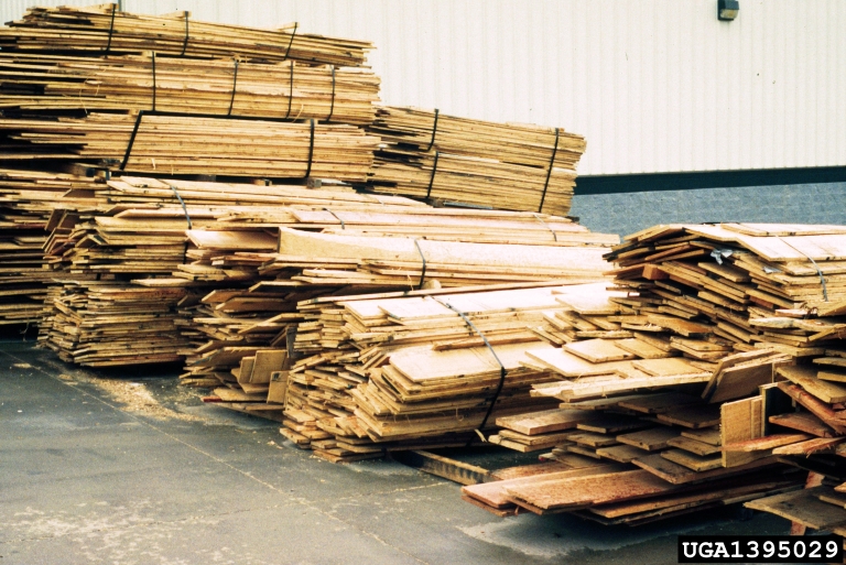 lumber and building materials