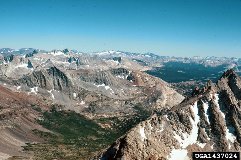 Sierra Nevada Mountains