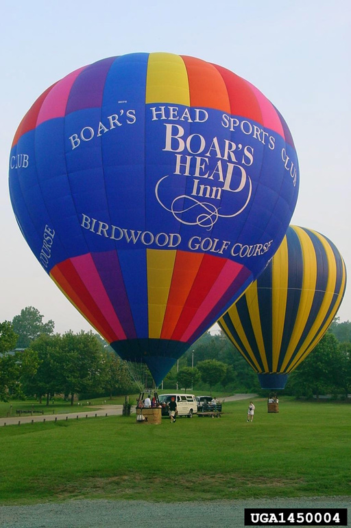 hot air balloon1450004
