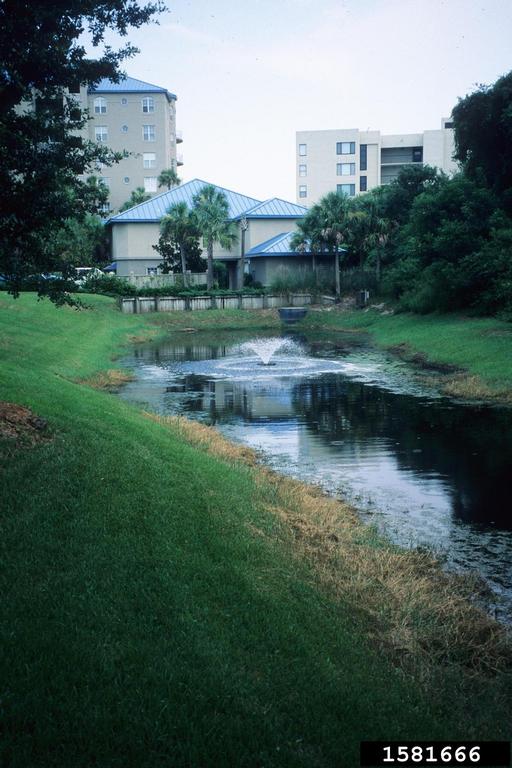 rainwater harvesting