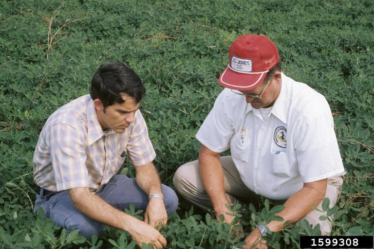 Integrated Pest Management (general)