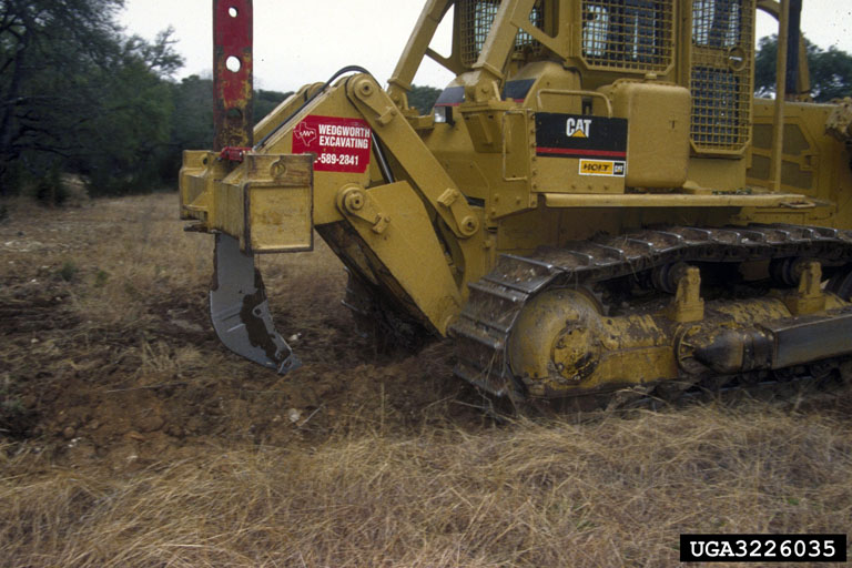 Photo by Ronald F. Billings, Texas A&M Forest Service, Bugwood.org 3226035