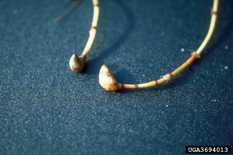 3694013