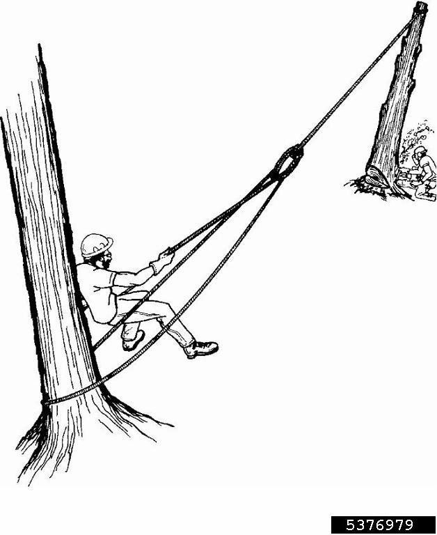 mechanical advantage