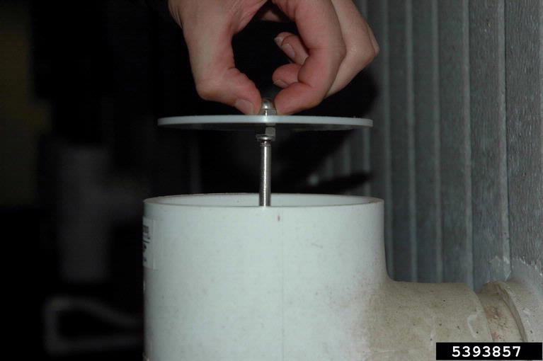 controlledatmosphere storage