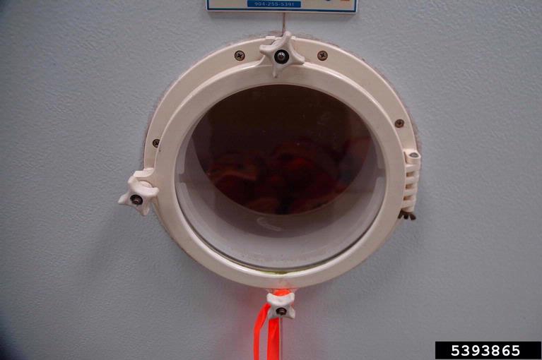 controlledatmosphere storage