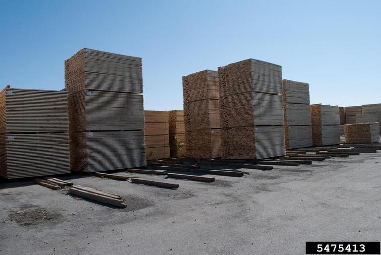 lumber and building materials