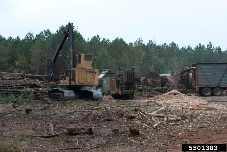 chippers and debarkers