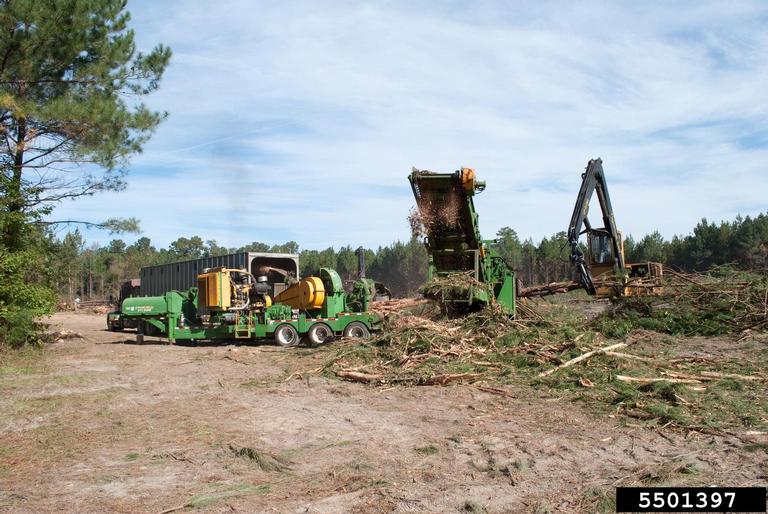 chippers and debarkers-5501397