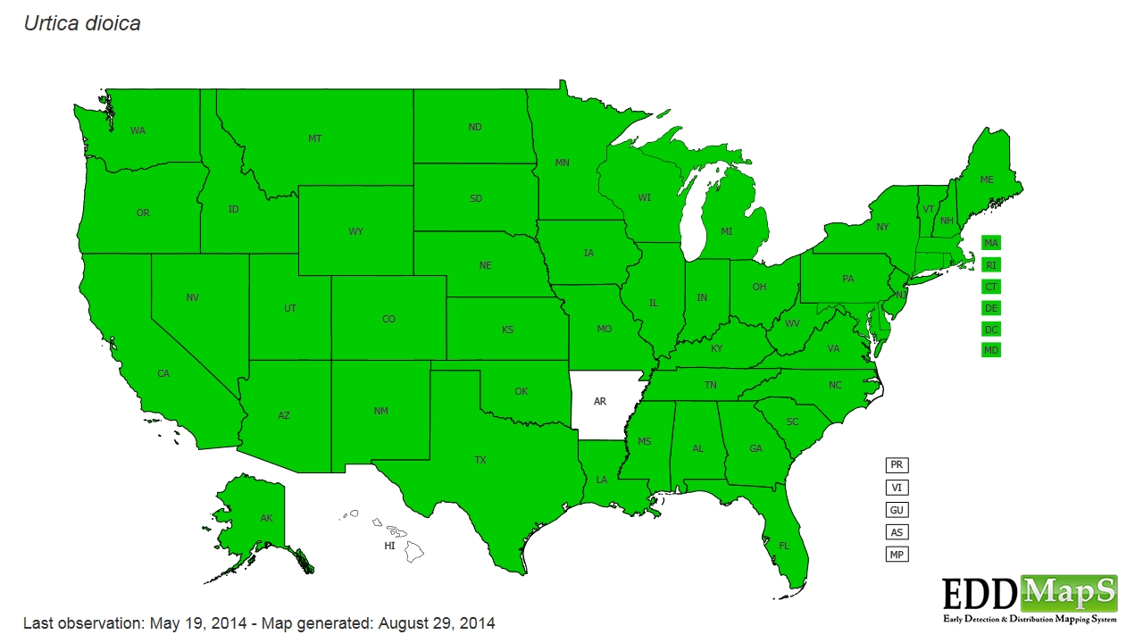 stinging-nettle-urtica-dioica-eddmaps-state-distribution