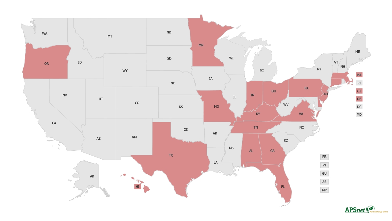 Widely Prevalent Status