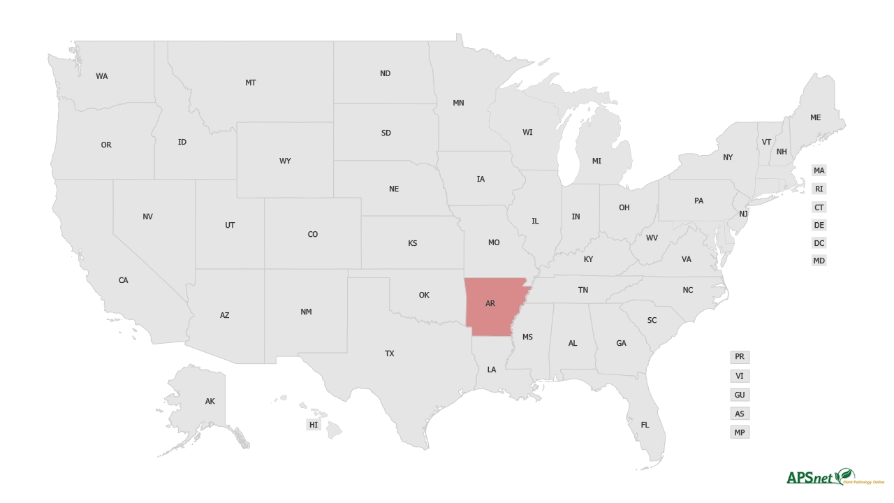 Widely Prevalent Status