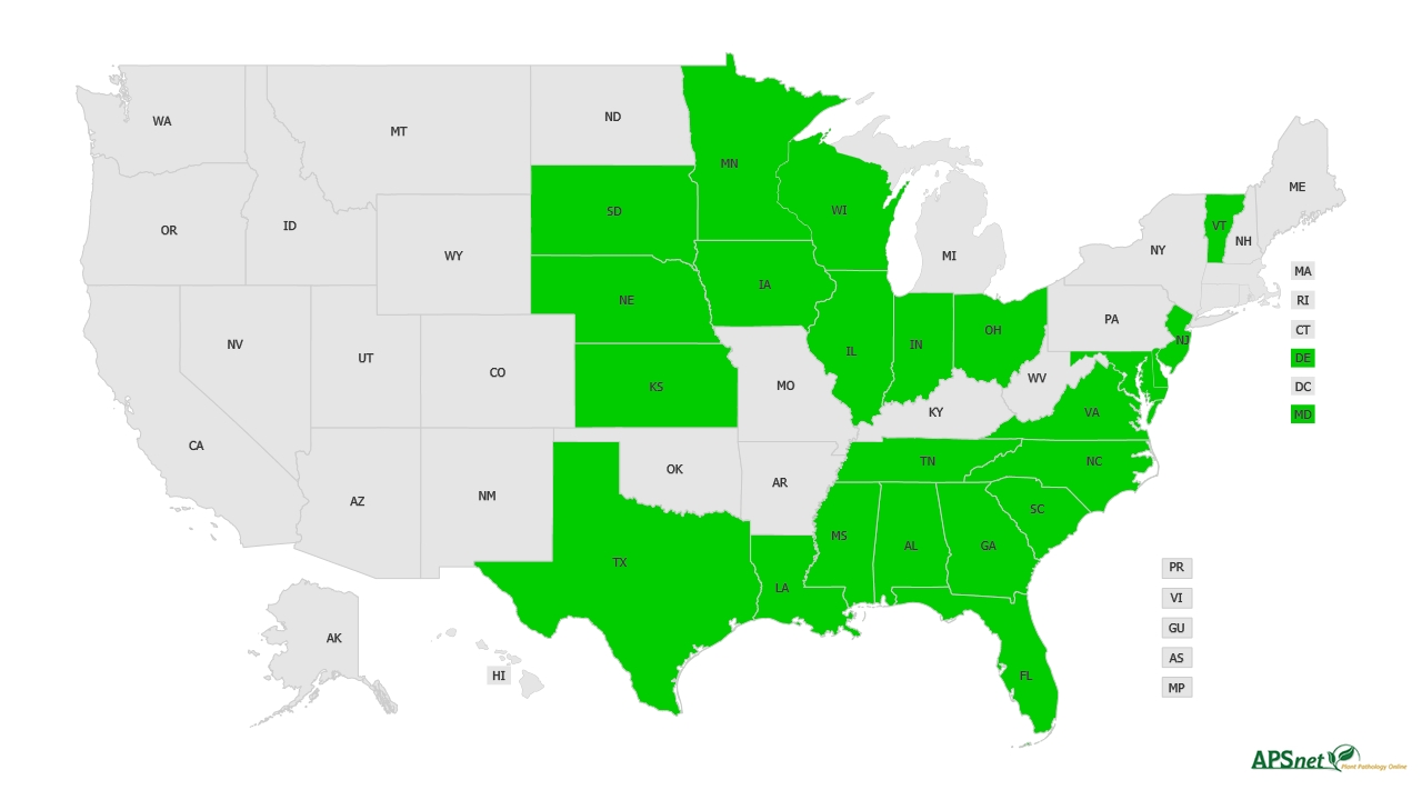 Widely Prevalent Status