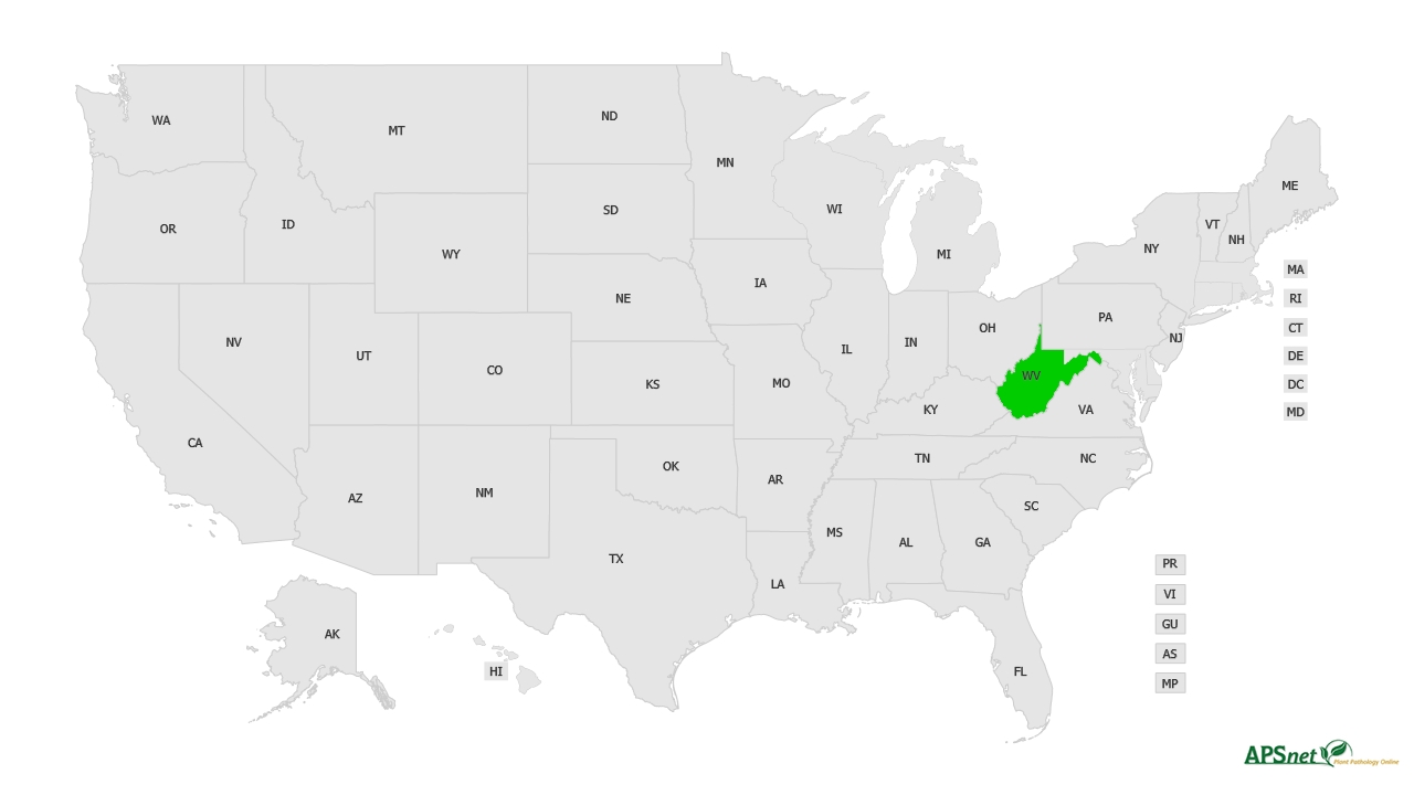 Widely Prevalent Status