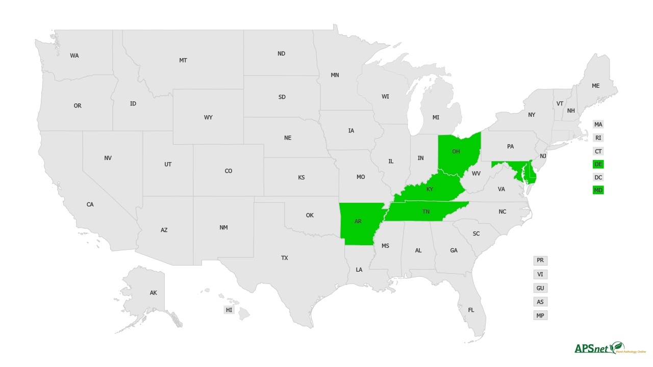 Widely Prevalent Status