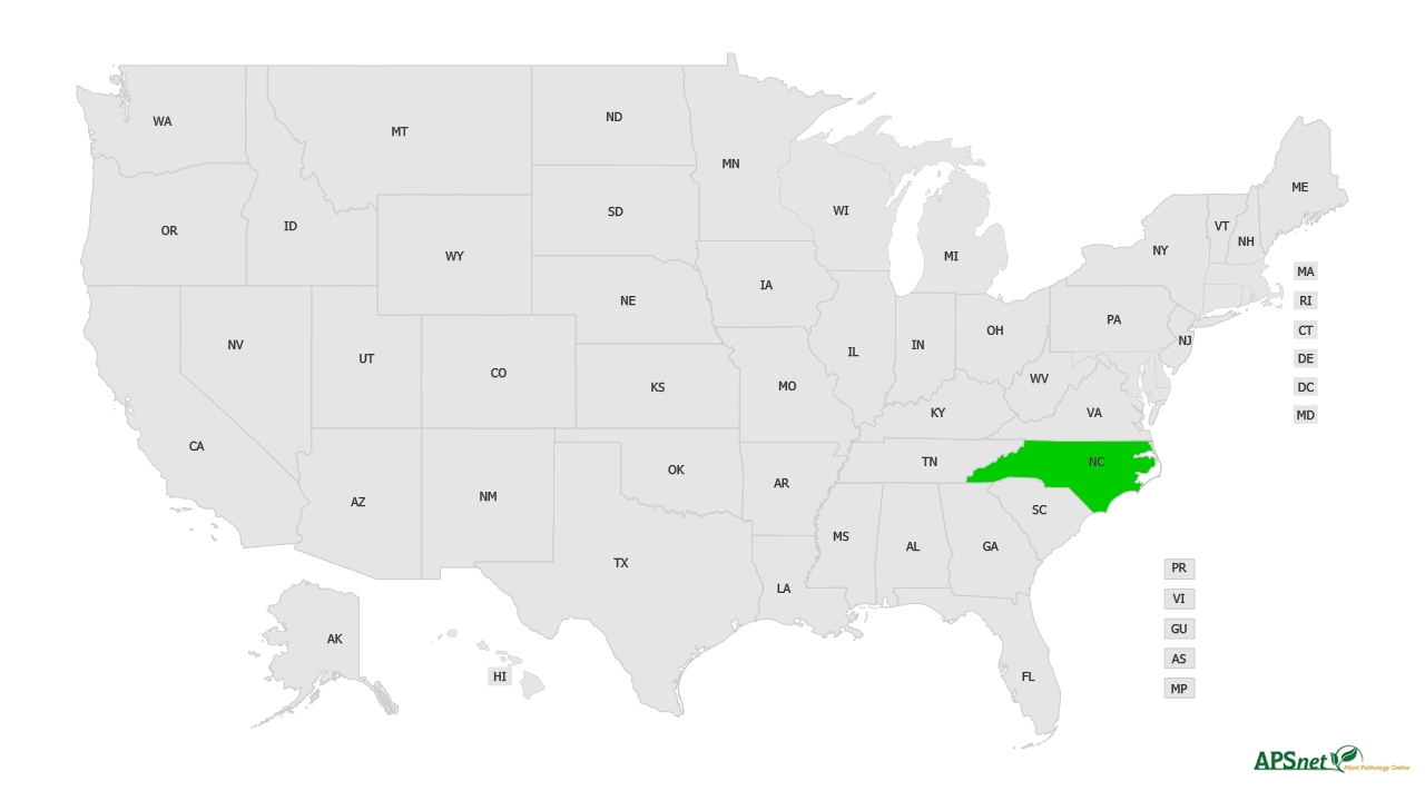 Widely Prevalent Status