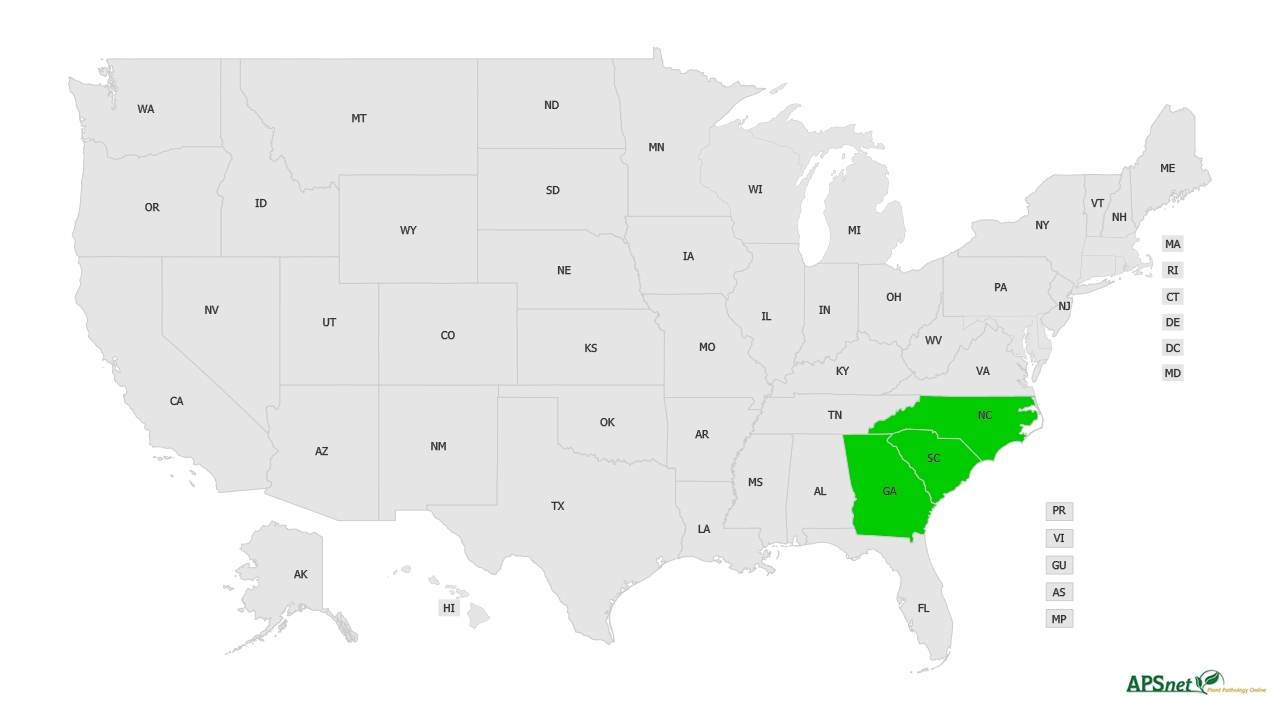 Widely Prevalent Status