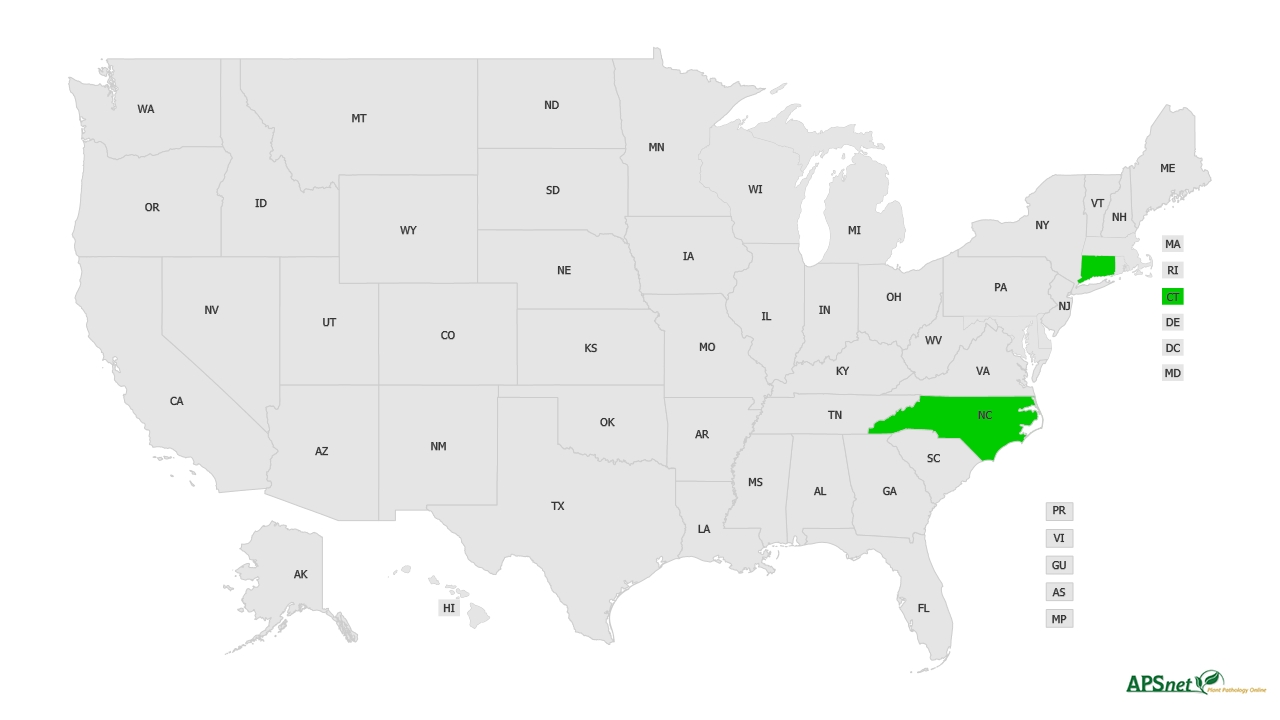 Widely Prevalent Status