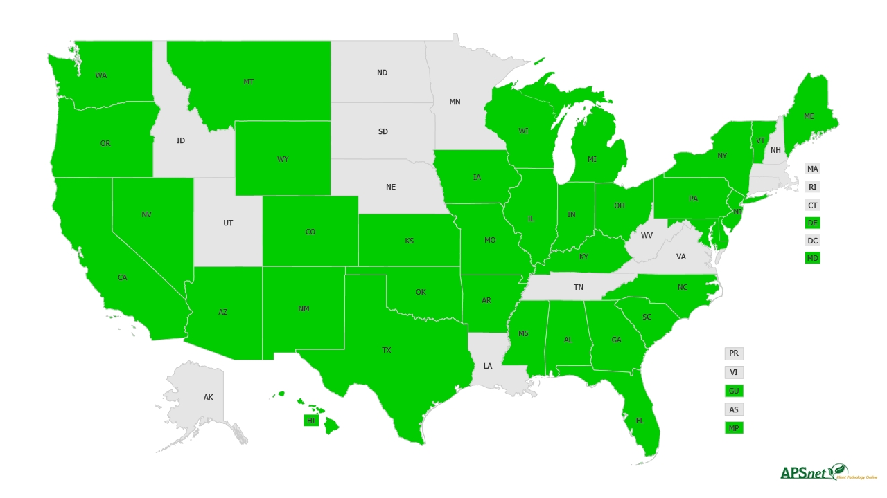 Widely Prevalent Status