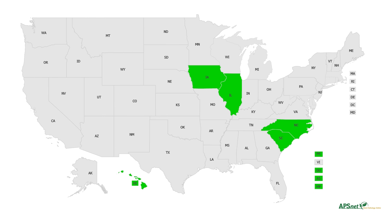 Widely Prevalent Status