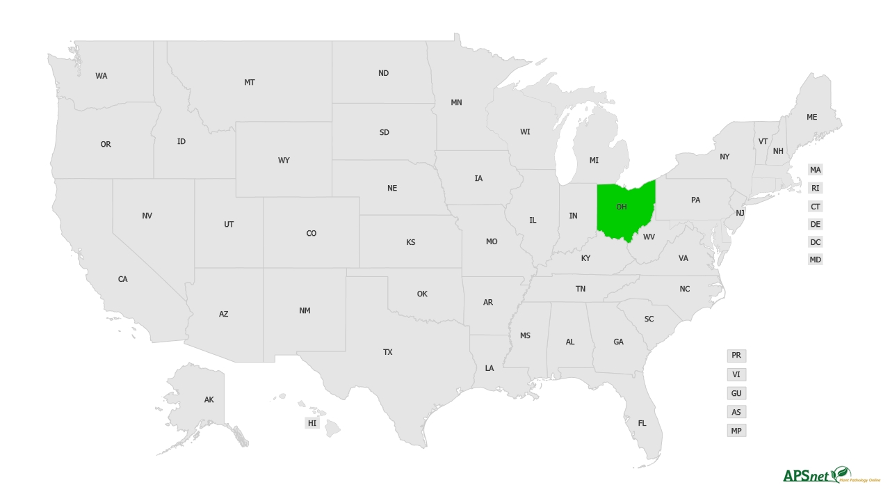 Widely Prevalent Status