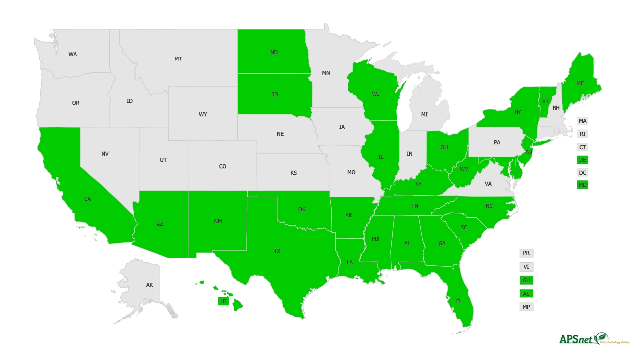 Widely Prevalent Status