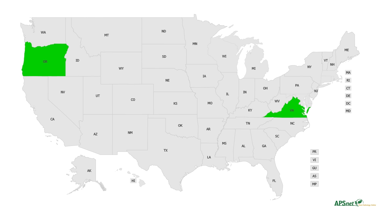 Widely Prevalent Status